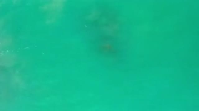 LOS CABOS MEXICO-2020: Relaxing Scene Of A Clean And Clear Green Ocean