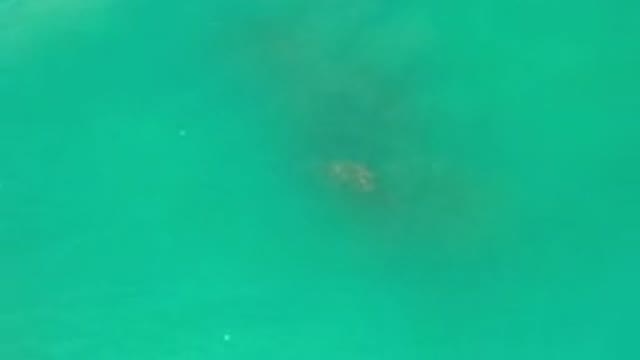 LOS CABOS MEXICO-2020: Mysterious Object Moving Beneath the Sea