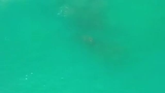 LOS CABOS MEXICO-2020: Blue Clear Tropical Ocean Water Being Pushed By Wind