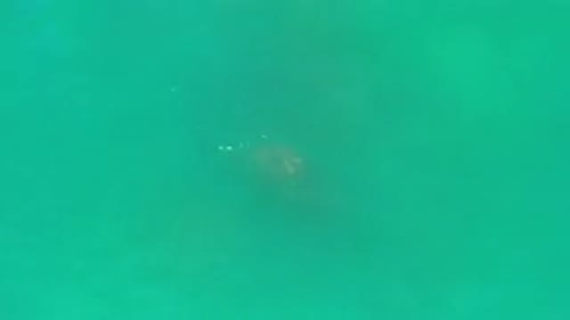 LOS CABOS MEXICO-2020: Green Water View Motion Of Waves In The Water Recorded
