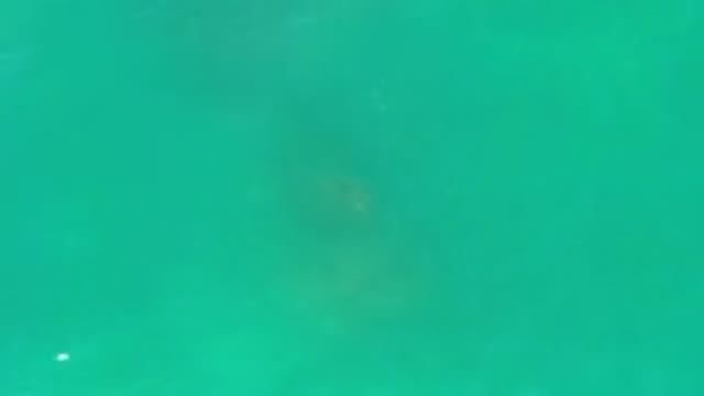 LOS CABOS MEXICO-2020: The Top View Of The Blue Beach Without Any Waves