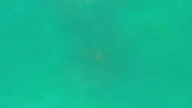 LOS CABOS MEXICO-2020: Large Aerial Footage Of Greenish Blue Water