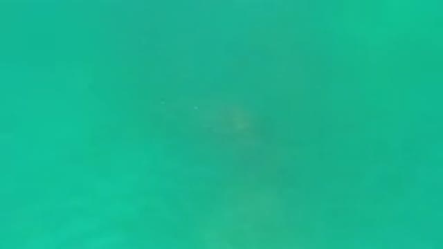 LOS CABOS MEXICO-2020: Water As Far As The Eyes Can See So Clear Indeed