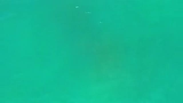 LOS CABOS MEXICO-2020: Deepest Part of The Green Sea in Mexico