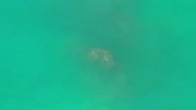 LOS CABOS MEXICO-2020: Sky View Of The Clean And Clear Beautiful Ocean Waves