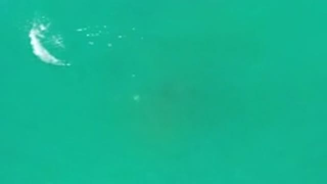 LOS CABOS MEXICO-2020: The Teal Colored Water Gently Sways Above the Unknown