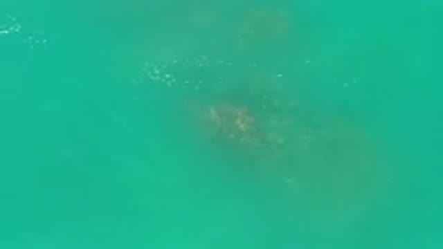 LOS CABOS MEXICO-2020: Drone Shot In The Middle Of Clean And Clear Green Ocean