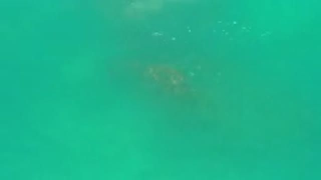 LOS CABOS MEXICO-2020: Clean And Clear Ocean Water in Mexico