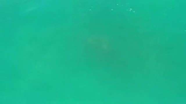 LOS CABOS MEXICO-2020: Scene of a Green Deep Sea During the Warm Afternoon