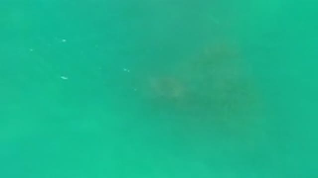 LOS CABOS MEXICO-2020: Sparkling Aqua Green Water With Dark Brownish Crusty