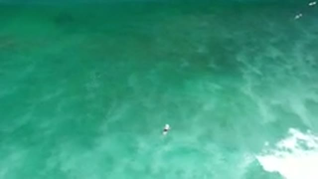 LOS CABOS MEXICO-2020: Awesome And Turquoise Green Sea