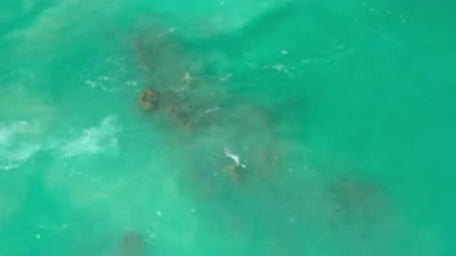 LOS CABOS MEXICO-2020: A Rock Formation Poking Out Of The Green Ocean Shore