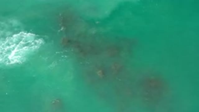 LOS CABOS MEXICO-2020: Clear Ocean With Algae