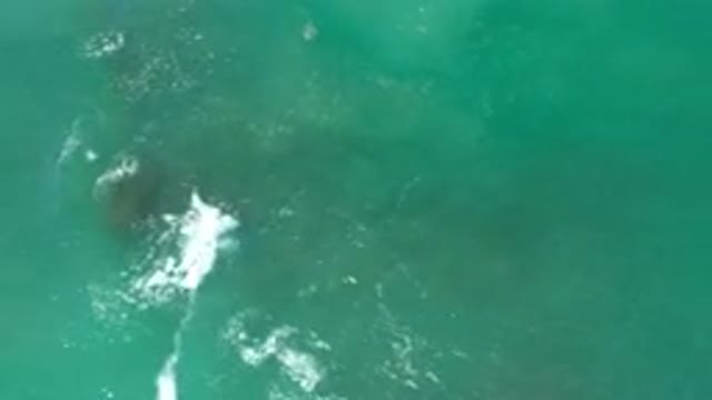 LOS CABOS MEXICO-2020: Green Ocean Waves Over Rock
