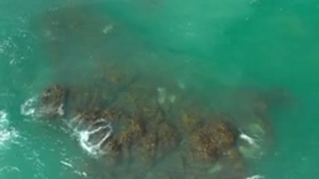LOS CABOS MEXICO-2020: A Beautiful Ocean Waves Captured in Camera