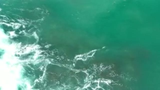 LOS CABOS MEXICO-2020: The Best Of Nature