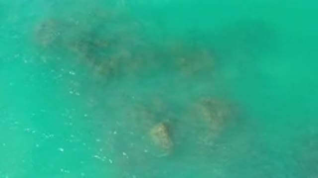 LOS CABOS MEXICO-2020: Clear Turquoise Water With Small Waves And Brown Corals
