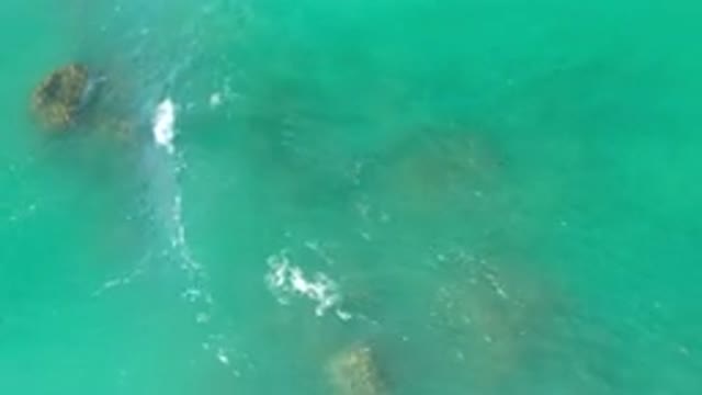 LOS CABOS MEXICO-2020: A Beautiful Ocean With Reef