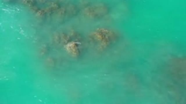 LOS CABOS MEXICO-2020: Crystal Clear Green Water Gently Rolls Over The Rough Rocks