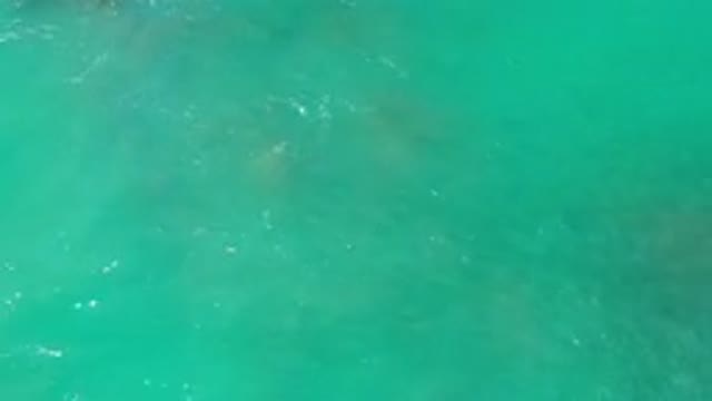 LOS CABOS MEXICO-2020: The Nice View Of The Hide And Seek Game Of Rocks And