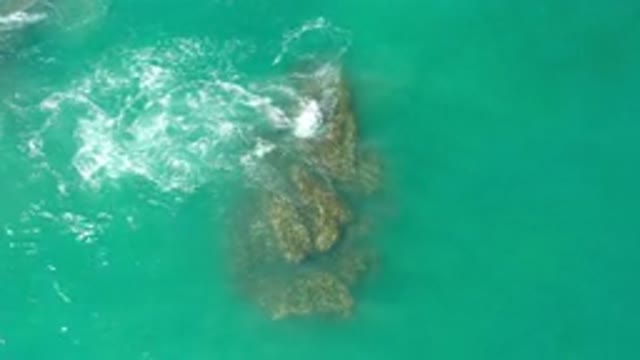 LOS CABOS MEXICO-2020: Waves Passing Over A Large Piece Of Underwater Coral
