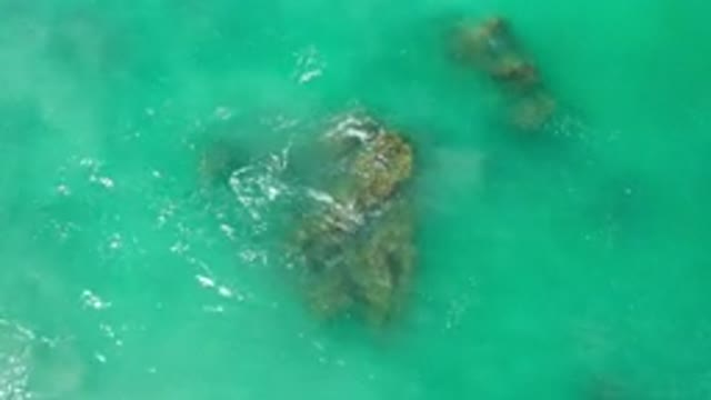 LOS CABOS MEXICO-2020: Reefs Under Beautiful Blue Waters