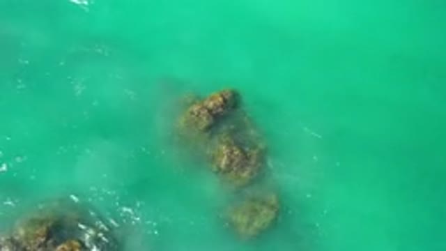 LOS CABOS MEXICO-2020: Green Ocean Waves Washing Over Algae Covered Sea Rocks