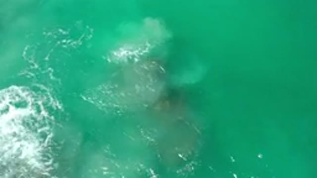 LOS CABOS MEXICO-2020: A Wave With Foam Over A Brown Coral Underneath Clear Water