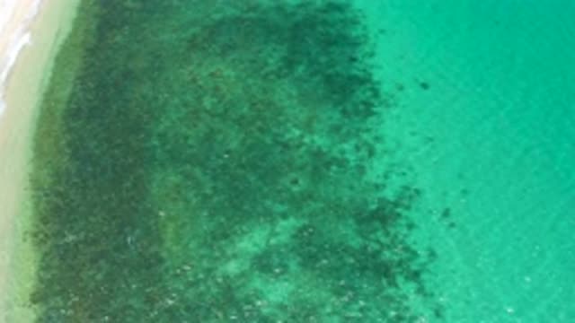 EL SARGENTO LA VENTANA MEXICO-2020: Drone Shot Of The Beautiful And Clean Ocean