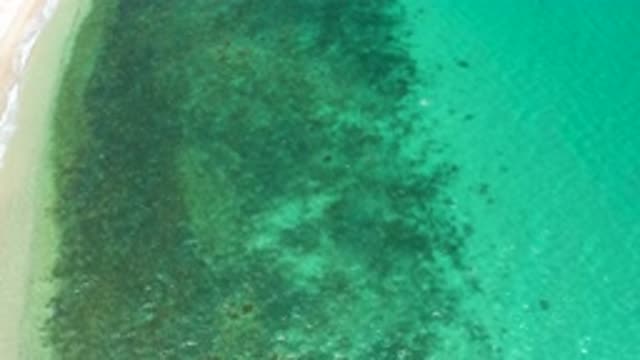 EL SARGENTO LA VENTANA MEXICO-2020: Aqua Sea With Seaweed At The Bottom