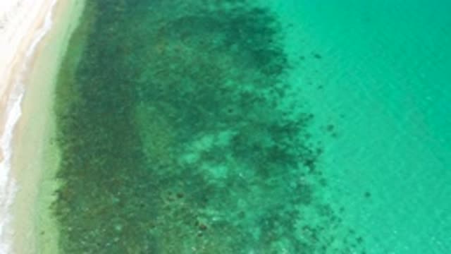 EL SARGENTO LA VENTANA MEXICO-2020: Zooming Out Camera of Shoreline and Marine