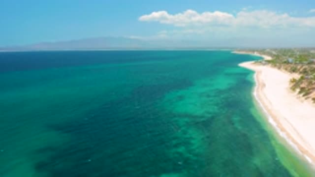EL SARGENTO LA VENTANA MEXICO-2020: Brush Covers A Sand Dune Overlooking An