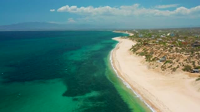 EL SARGENTO LA VENTANA MEXICO-2020: Large Fish Jumping Through Ocean Waters