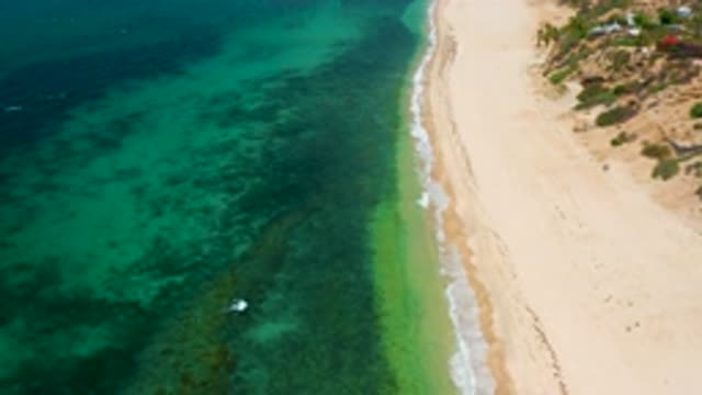 EL SARGENTO LA VENTANA MEXICO-2020: Sailing Over Green Warm Calm Ocean Along Dry