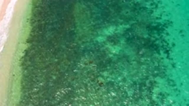 EL SARGENTO LA VENTANA MEXICO-2020: Underwater Shallow Rocks Looking Down
