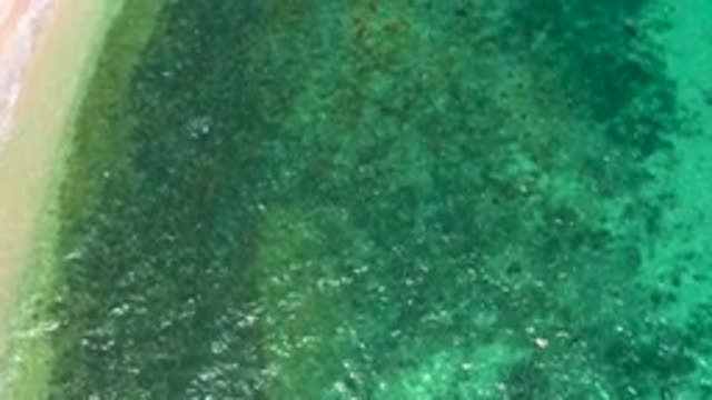 EL SARGENTO LA VENTANA MEXICO-2020: Green Waves Roaming Across the Sea