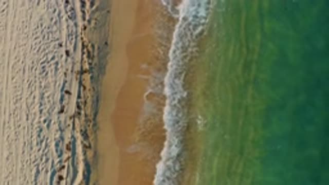 EL SARGENTO LA VENTANA MEXICO-2020: Beach With Calm Waves On A Sunny Day