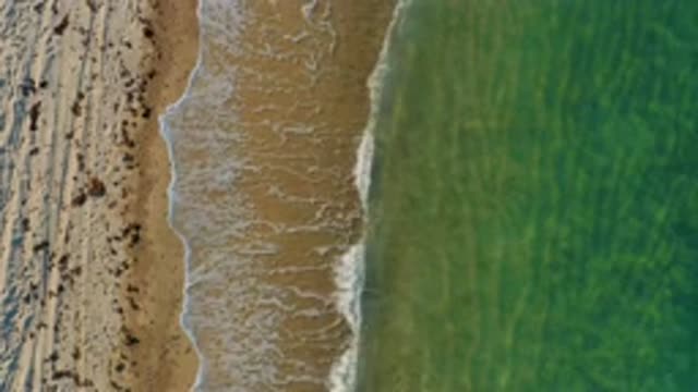 EL SARGENTO LA VENTANA MEXICO-2020: Overhead View Of Calm Beach With Lots Of Seaweed And Green Plants