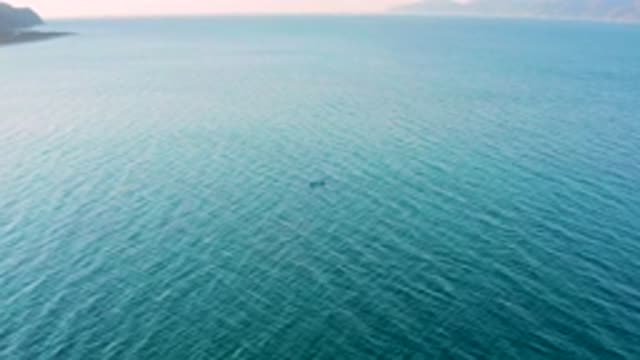 EL SARGENTO LA VENTANA MEXICO-2020: Private Ocean View Kayaking Beautiful