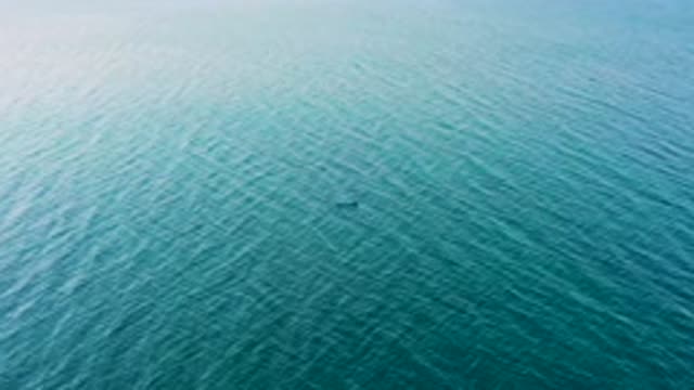 EL SARGENTO LA VENTANA MEXICO-2020: Drone Shot View Of Clear And Clean Blue