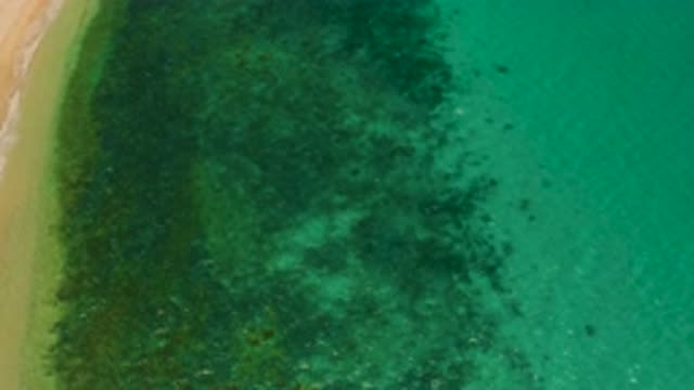 EL SARGENTO LA VENTANA MEXICO-2020: Aquamarine Water Washes Ashore On A Sandy Beach