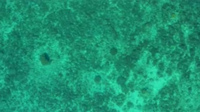EL SARGENTO LA VENTANA MEXICO-2020: Amazing Rocks And Stones Under The Green Sea