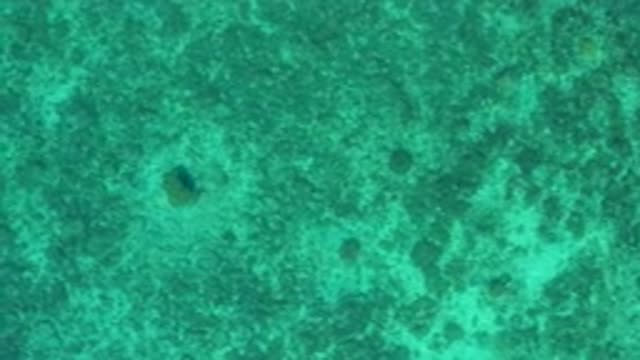 EL SARGENTO LA VENTANA MEXICO-2020: Aerial Footage Of Dark Greenish Water With Sun Shimmer