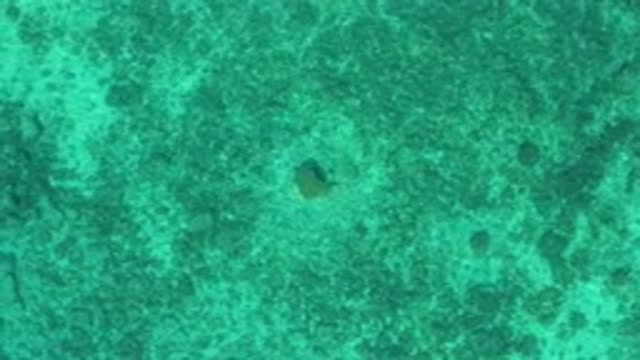 EL SARGENTO LA VENTANA MEXICO-2020: Calm Aquamarine Tropical Waters Rippling