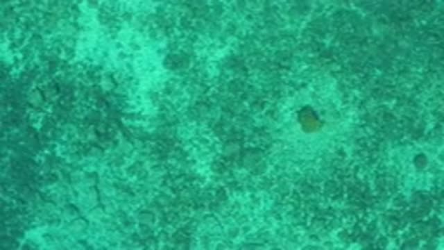 EL SARGENTO LA VENTANA MEXICO-2020: A Bird's Eye View Of The Calm Water And The