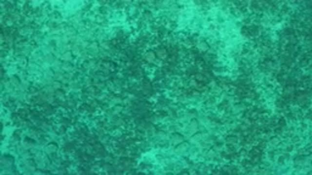 EL SARGENTO LA VENTANA MEXICO-2020: Sky View Of Clean Clear Beautiful And Green
