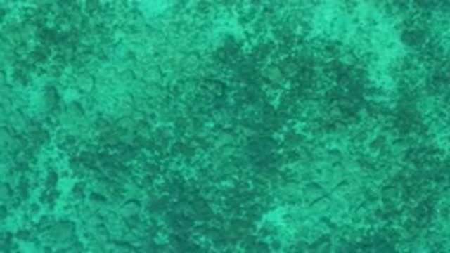 EL SARGENTO LA VENTANA MEXICO-2020: Speckled Blue Tropical Ocean Water With Gentle Waves