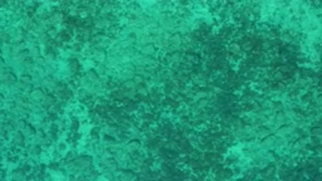 EL SARGENTO LA VENTANA MEXICO-2020: Sea Base With Clean Green Water