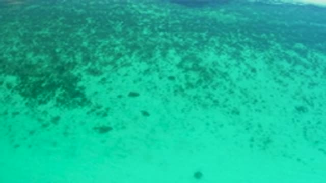 EL SARGENTO LA VENTANA MEXICO-2020: This Is A Beautiful Body Of Blue Water