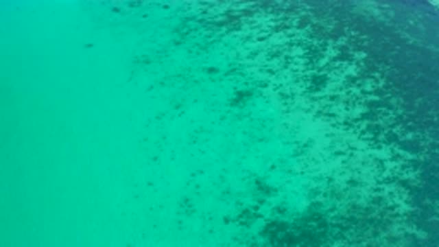 EL SARGENTO LA VENTANA MEXICO-2020: Amazing And Beautiful Green Sea